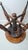 Late Victorian Adjustable Piano Stool With Glass Ball & Claw Feet, Circa 1880-1900 For Sale - Image 10 of 15