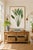 Vintage botanical artwork reproduced and refined for modern printing. Featuring elegant bird of paradise blooms,...