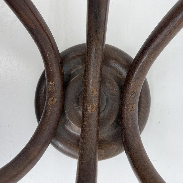 Antique Bentwood Wall Mounted Coat Rack, 1930s For Sale - Image 13 of 18