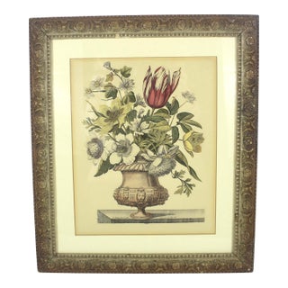 Antique Coloured Botanical Illustration Engraving Antique Wood and Plaster Frame Floral French Art For Sale