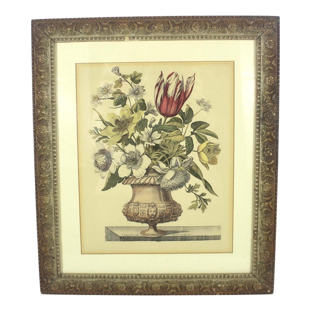 Antique Coloured Botanical Illustration Engraving Antique Wood and Plaster Frame Floral French Art For Sale