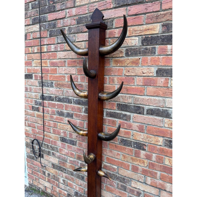 19th Century Bull Horn Hall Tree For Sale - Image 10 of 12