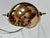 Black Meridiana Table Lamp by Paolo Piva for Stefano Cevoli, Italy, 1980s For Sale - Image 8 of 16