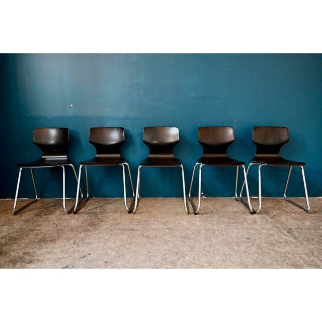 Scandinavian Chairs in Pagwood from Flötotto, 1960s, Set of 5 For Sale - Image 12 of 12
