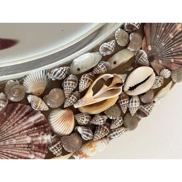 Vintage Shell Encrusted Platter For Sale - Image 11 of 12