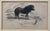 Mid 19th Century Rare 1840s Wild Sheland Pony 'Poney" Hand Colored Etching Sir William Jardine For Sale - Image 5 of 9