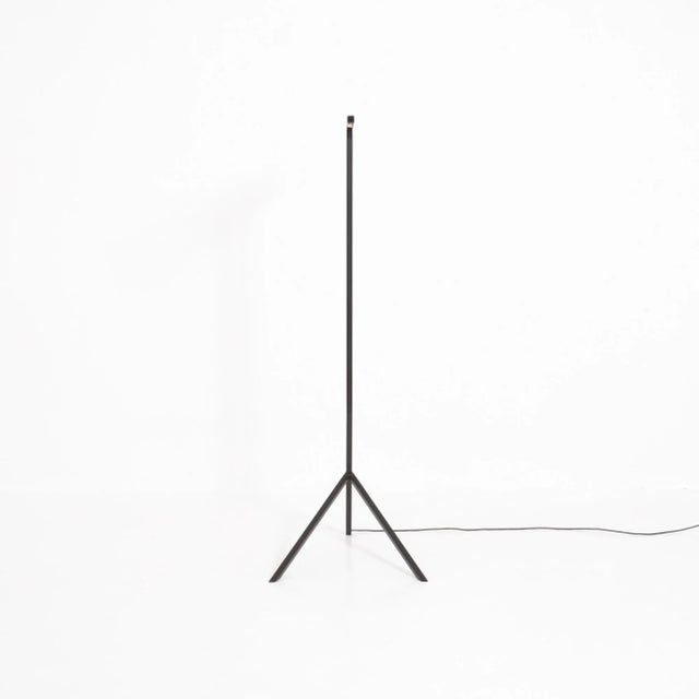 Mantis Light by Philip Theys For Sale - Image 5 of 17