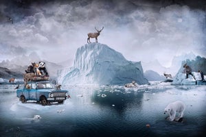 Arctic Diaries by Marcin Owczarek | Photography on Fine Art Hahnemühle Icebergs with animals and a car