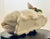 Late 20th Century Vietri Italian Ceramic Pig Tureen With Fruit Finial Lid For Sale - Image 10 of 18