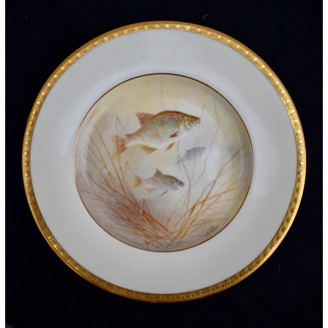 White Set of 6 Antique Minton for Tiffany Hand Painted Fish Cabinet Plates Gold Rim For Sale - Image 8 of 18