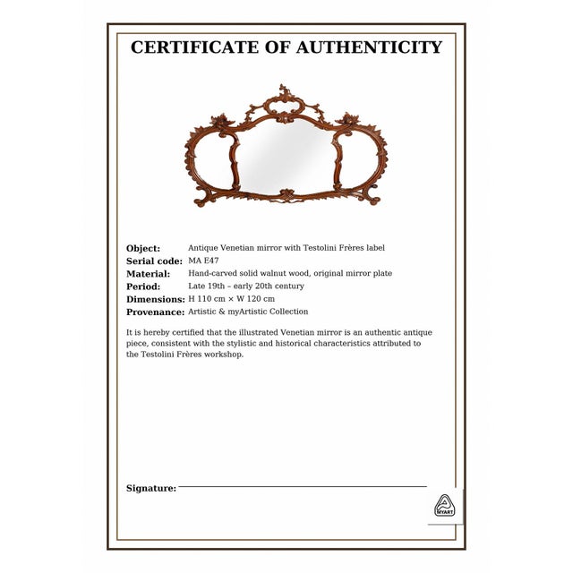 Brown Antique Venetian Mirror by Testolini Frères, 1890s For Sale - Image 8 of 9