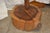 1960s Folk Art Rustic Hand Crafted Wooden Tree / Log Plant Stand With 5 Arms / Holders For Sale - Image 6 of 12
