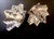 Art Deco Art Deco 1930s Chevron Starburst Clip-Mates by Ralph Polcini, Pair For Sale - Image 3 of 5