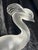 Pristine Lalique Louisiane Peacock/Crane 1970's Retired Crystal Sculpture For Sale - Image 12 of 12