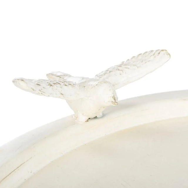 Alabaster Kensi Bird Bath - Pearl White For Sale - Image 8 of 10