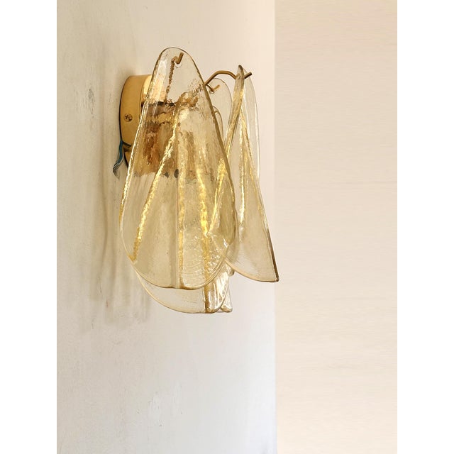 2020s Set of Two Amber “Rondini” Murano Glass Gold Wall Sconce in Mazzega Style For Sale - Image 5 of 7