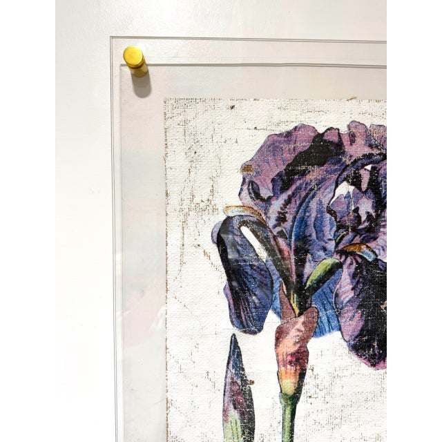 2020s Purple Iris - Hand Textured Purple Flower For Sale - Image 5 of 7