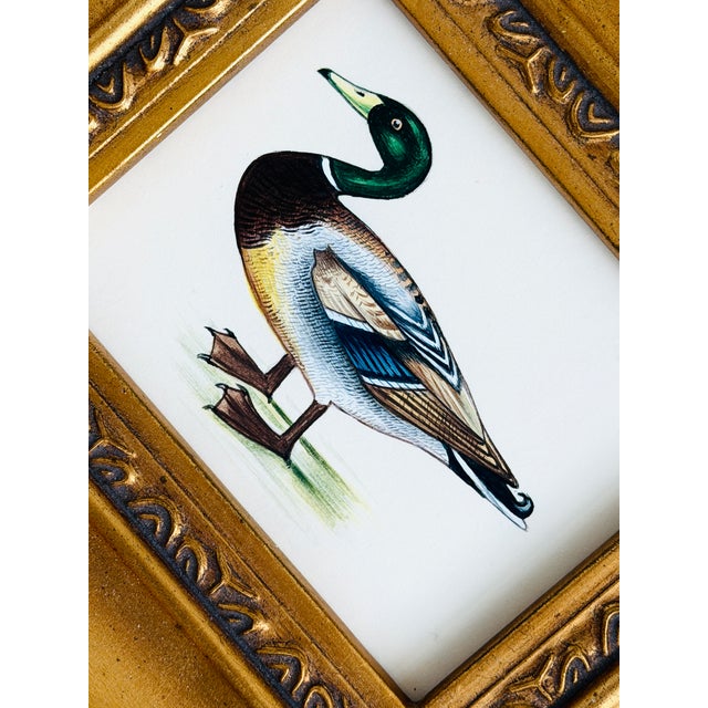 Realism Original Hand-Painted Mallard Painting in a Vintage Frame For Sale - Image 3 of 4