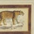 Pair: Vintage Jaguar Felis Onca Book Plate Lithographs Framed Art Print Big Cats For Sale In Philadelphia - Image 6 of 18