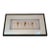 Large Black Framed Shell Shadow Box Picture From Barclay Butera For Sale