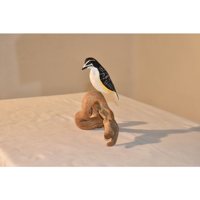 Nc Hand-Carving of a Woodpecker Driftwood, Circa 1960 For Sale - Image 4 of 6