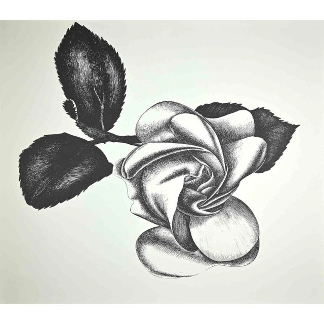 Black Rose is an original etching realized by the Italian artist Giacomo Porzano (1925-2006). In good condition. This...