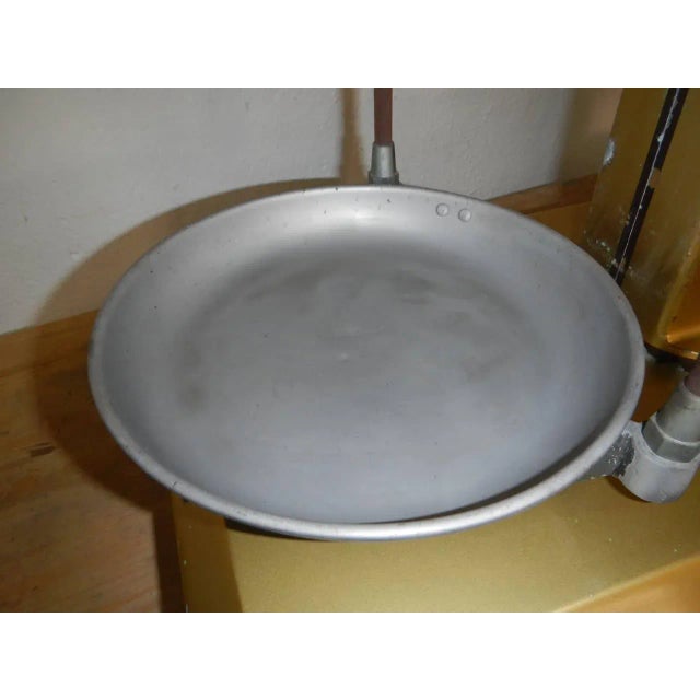 Gray Fulgor Scale in Gold For Sale - Image 8 of 13