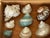 Large Sea Shells Specimens in Mahogany Box For Sale - Image 4 of 5