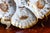 1920s Antique Limoges T v Oyster Plate, Jones McDuffee & Stratton, Hand-Painted Shells, C. 1892-1907 For Sale - Image 5 of 10