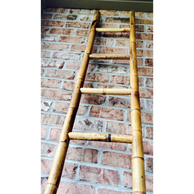 Antique Tall Bamboo Orchard Ladder Chairish