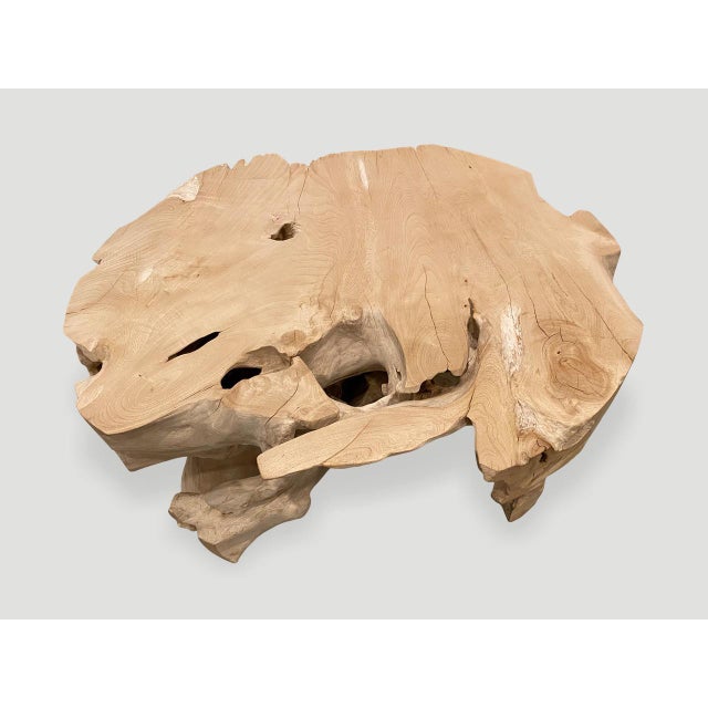 Contemporary Andrianna Shamaris Organic Bleached Teak Wood Coffee Table or Side Table For Sale - Image 3 of 18