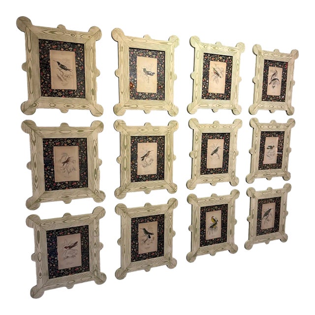 19th Century Hummingbird and Nectarivore Engravings in Custom Faux Bois Frames (6 Priced Individually) For Sale