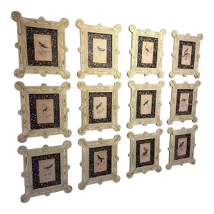 19th Century Hummingbird and Nectarivore Engravings in Custom Faux Bois Frames (6 Priced Individually)