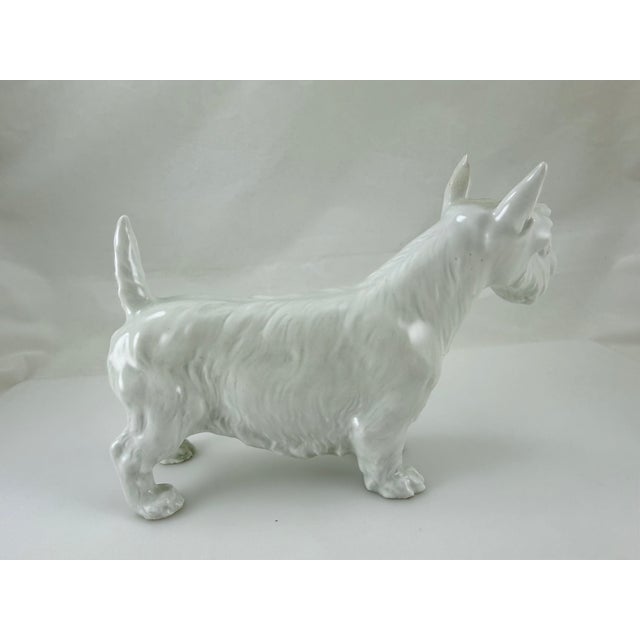 Meissen Porcelain Meissen Blanc De Chine Porcelain Scottish Terrier For Sale - Image 4 of 9