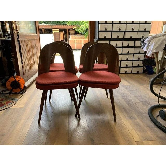 Brown Mid-Century Dining Chairs by Antonín Šuman for Tatra Furniture, 1960s, Set of 4 For Sale - Image 8 of 8