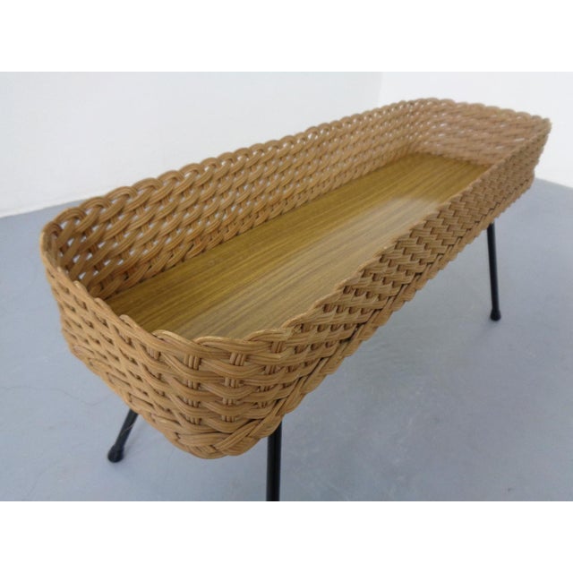 Large German Flower Planter in Rattan and Steel, 1950s For Sale - Image 13 of 15