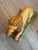 Yellow Pair of 19th Century French Faience Glazed Ceramic Recumbent Lions For Sale - Image 8 of 9