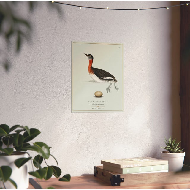 William Lewin 1789 Waterbirds Fine Art Gallery Board Print - The Red Necked Grebe For Sale - Image 12 of 12