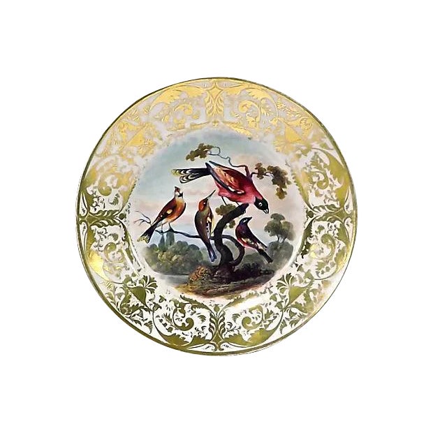 Antique Porcelain Royal Derby Bird Plate For Sale