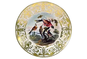 Antique Porcelain Royal Derby Bird Plate