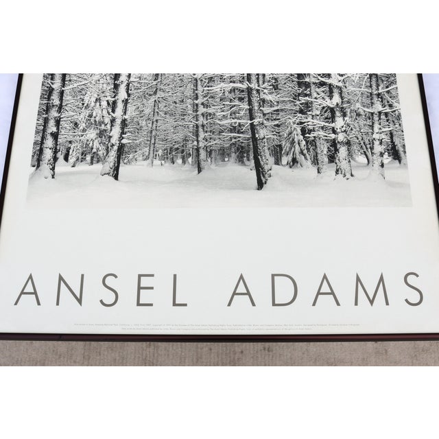 1932 Ansel Adams Pine Forest in Snow Yosemite National Park Photograph Art Print For Sale - Image 11 of 16