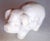 Miniature Well-Carved Piglet "Miss Piggy" - Pig - - Of Uncommon Magnesite Stone. For Sale - Image 4 of 14