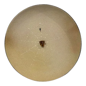 1990s French Plate "Spider in Spiderweb"