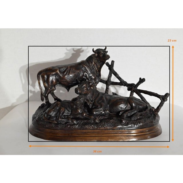 Jules Moigniez, Cows, Early 20th Century, Bronze For Sale - Image 15 of 18