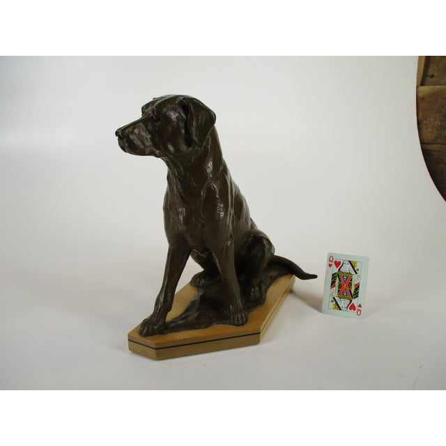 Late 20th Century Bronze Dog Statue Lab, Labrador Sitting Wooden Bace Artist Signed: Name? & 1995 For Sale - Image 5 of 12