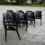 Wood Driade Deville Chairs by Christophe Pille, Set of 10 For Sale - Image 7 of 9