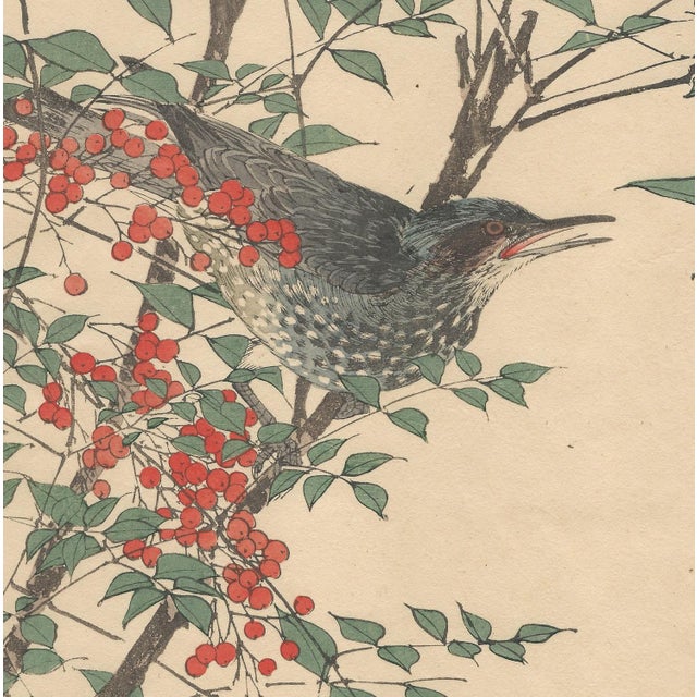 Imao Keinen, Brown-Eared Bulbul from Keinen Kacho Gafu, 1892, Woodblock Print For Sale - Image 3 of 13