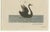 Antique Greater Rhea and Black Swan Engraving from Bertuch, 1798 For Sale - Image 4 of 9