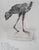 CESAR (César Baldaccini, known as) (1921-1998) Poultry on the March Color lithograph poster Signed in the plate On poster...