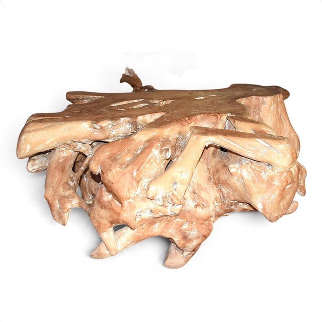 1980s Natural Teak Root Coffee Table, 1980s For Sale - Image 5 of 6